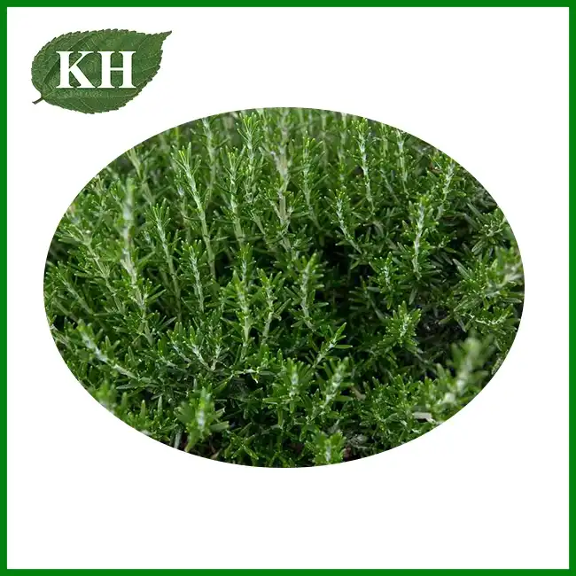 Natural Rosmarinic Acid Natural Rosmarinic Acid